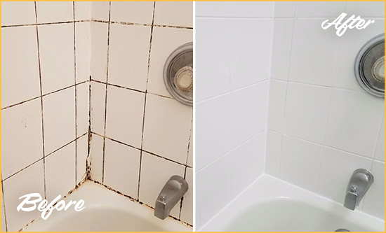Before and After Picture of a Landenberg Shower Tile and Grout Cleaned to Eliminate Mold