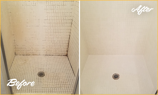 Before and After Picture of a Gradyville Bathroom Grout Sealed to Remove Mold