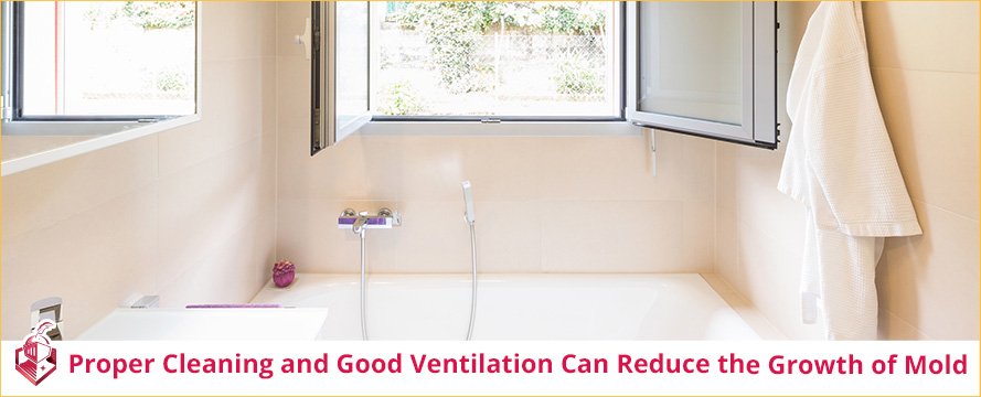 Proper Cleaning and Good Ventilation Can Reduce the Growth of Mold