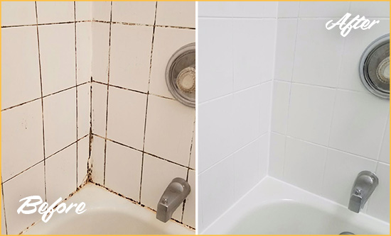 Before and After Picture of a Collegeville Shower Tile and Grout Cleaned to Eliminate Mold