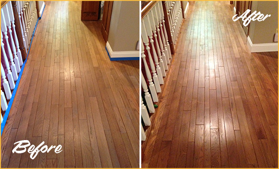 Before and After Picture of a Chatham Wood Sand Free Refinishing Service on a Worn Out Floor