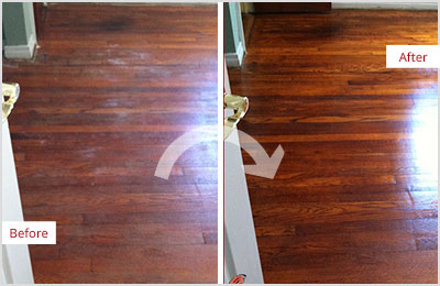 Sir Grout of Greater Chester County Deep Wood Cleaning
