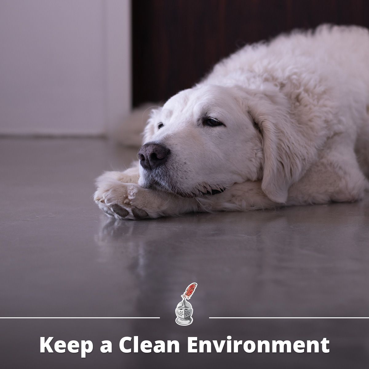 Keep a Clean Environment