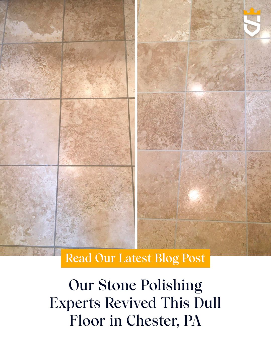 Our Stone Polishing Experts Revived This Dull Floor in Chester, PA