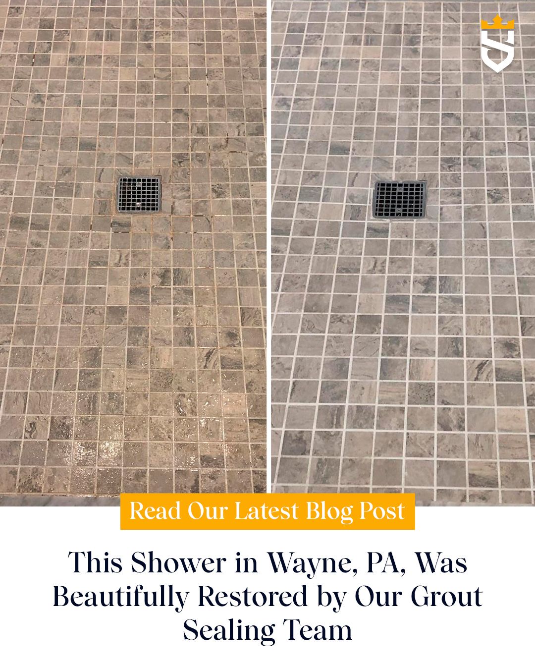 This Shower in Wayne, PA, Was Beautifully Restored by Our Grout Sealing Team