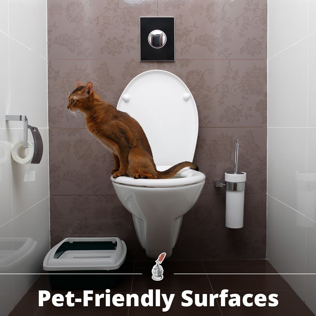 Pet-Friendly Surfaces